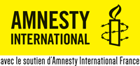 amenstey international france